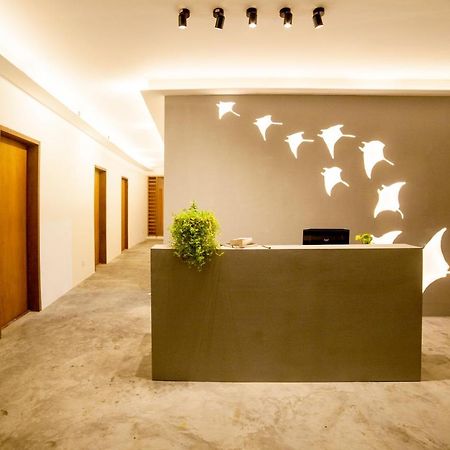 Island scuba inn Dhangethi Exterior foto