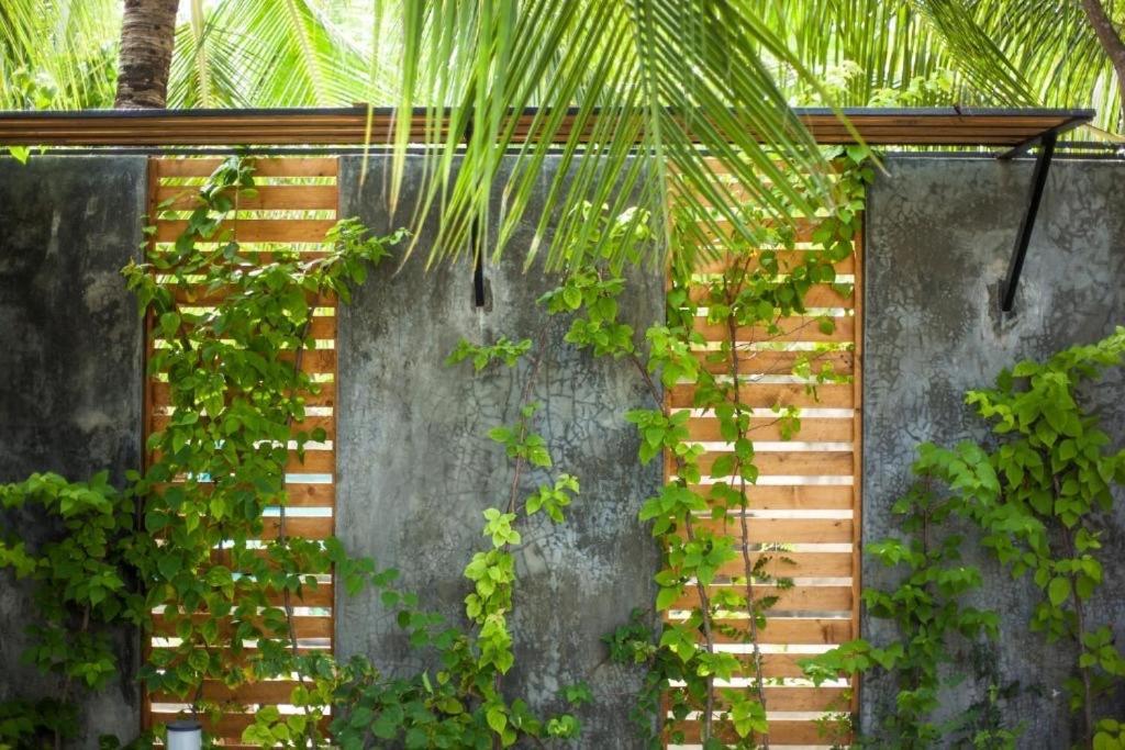 Island scuba inn Dhangethi Exterior foto