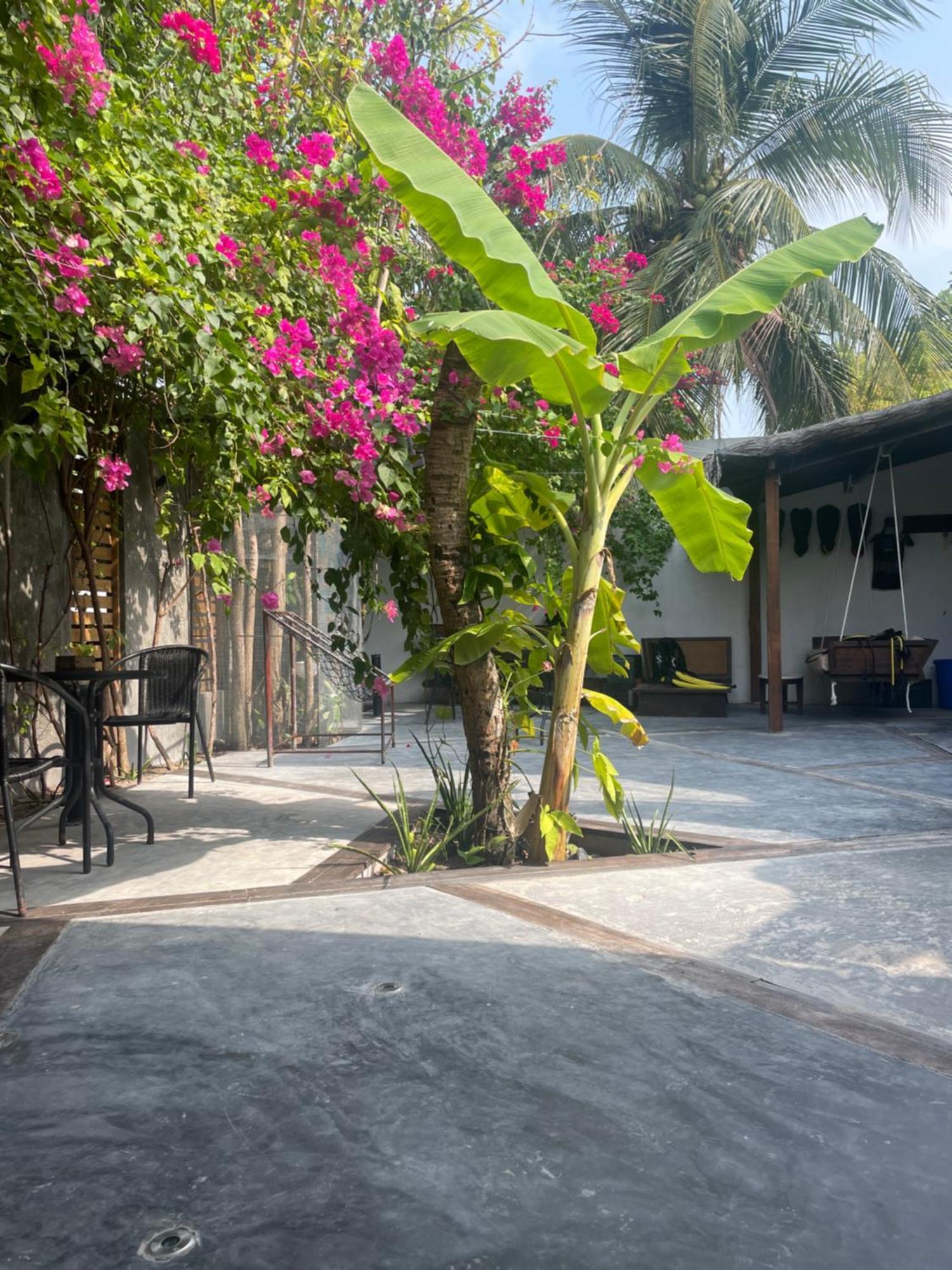 Island scuba inn Dhangethi Exterior foto